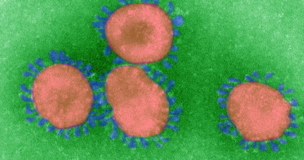 Looking for Solutions to Corona Virus Toxicity: When Do They