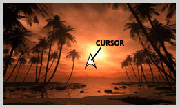 Macromedia Flash - Customize Cursor: Step