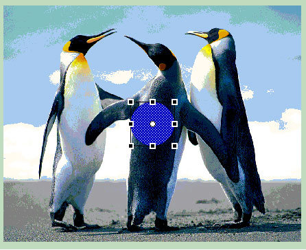 Macromedia Flash - Effect of 'Oil Spill'
