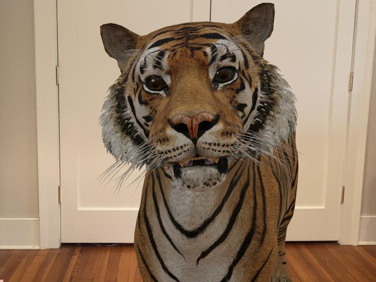 Make Your Own Tiger King With Google S Ar Animals