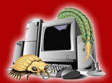 Malware 'Knocked Out' Us Government Agency Network