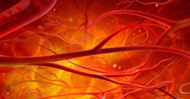 Manufacturing Artificial Blood Vessels to Limit Surgery 7 Times for Children with Heart Defects