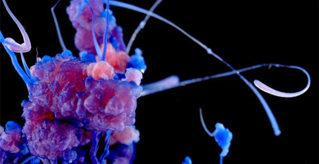 Marvel at the Incredible Beauty of Chemical Reactions