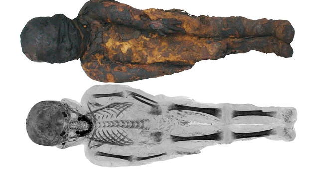 Marvel at the Mummy Photos Analyzed Under Modern CT Scan Technology