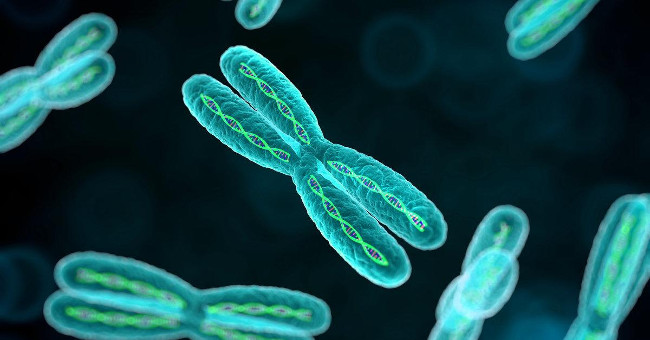 Medicine Warning: Genes Causing Sudden Death in Children Have Been Officially Identified