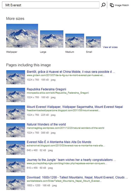 Microsoft Is Gradually Improving Its Image Search Feature for Bing
