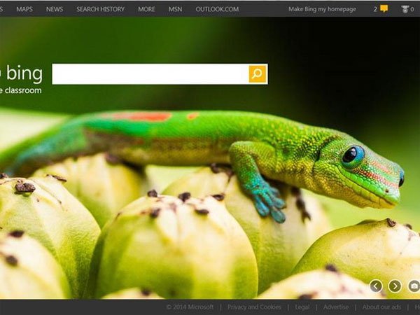 Microsoft Launched Bing Version Without Ads for Students
