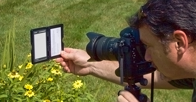 Mistakes When Using White Balance in Taking Photos