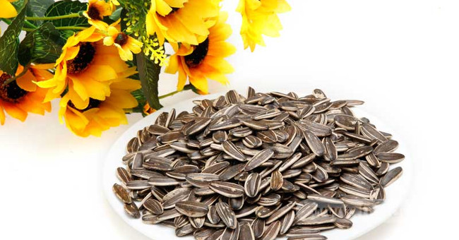 Mold Sunflower Seeds Contain Toxins That Cause Liver Cancer