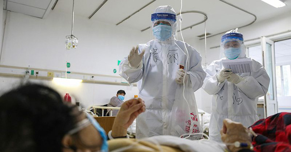 More Than 540 Studies, 80 Clinical Trials and 200 Viral Genomes