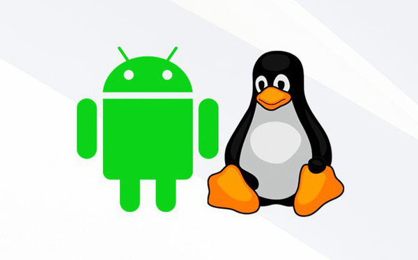 Moving from Windows to Linux, I Understood the Difference Between