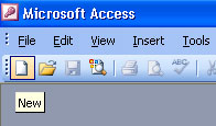 MS Access 2003 - Lesson 5: Chapter 2: Access Learning in 1 Hour