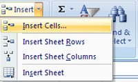 MS Excel 2007 - Lesson 5: Edit Worksheet: Insert Excel 2007 Row