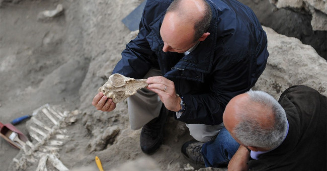 Mysterious Journey of Finding Egg Shell Protein Ostrich 3.8 Million Years Old