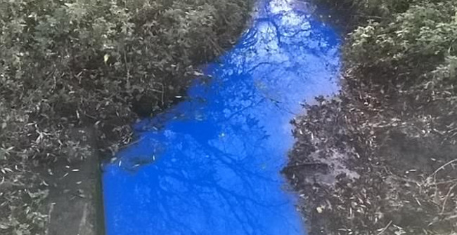 Mysterious Stream Turns Strange Blue in England