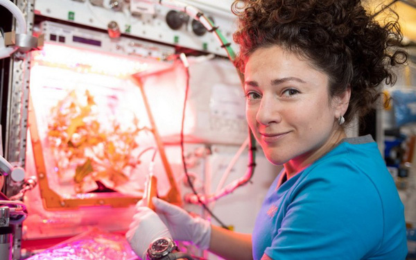 NASA Began Testing Human Culture and Development of Organs on the