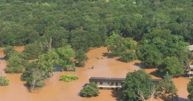 Natural Disasters Can Kill Insects and Invertebrates