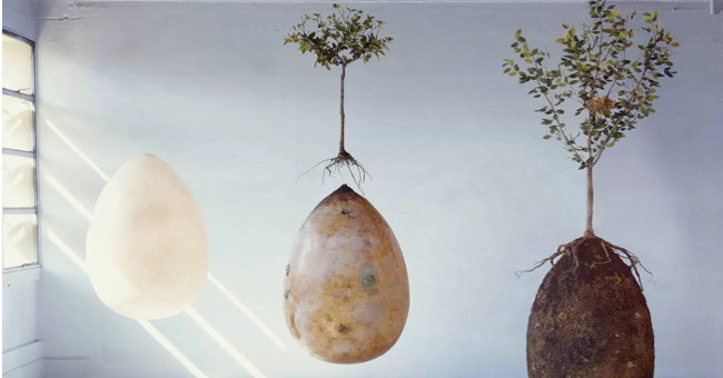 New Burial Method: Turning Dead People into Trees