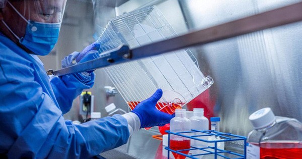 New Discovery of a Long-standing Vaccine May Help Fight