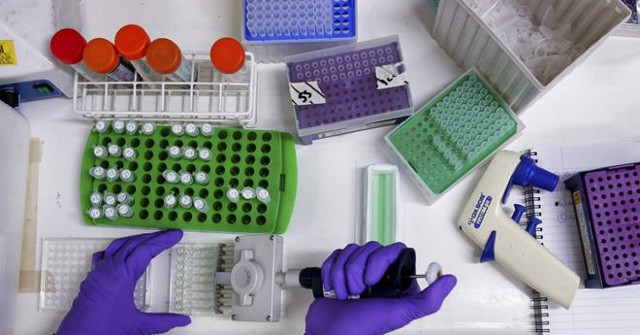 New Drugs Can Prevent Genes That Cause Cancer