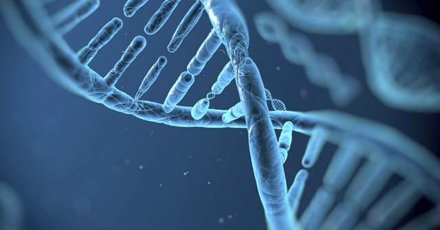 New Gene Therapy Through the Skin Can Help Treat Diabetes and Obesity