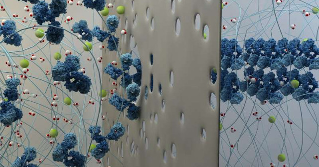 New Molecular Printing Technology Can Reproduce a Complex Chemical Environment Similar to the Human