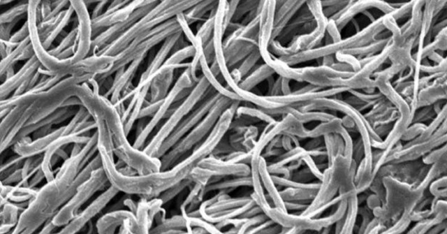 New Nanofibers Incorporate High Durability Just Launched