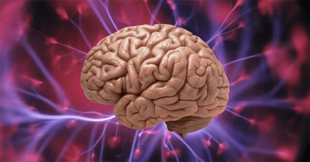 New Research in Mice Shows Why Sleep Can Sometimes Make You
