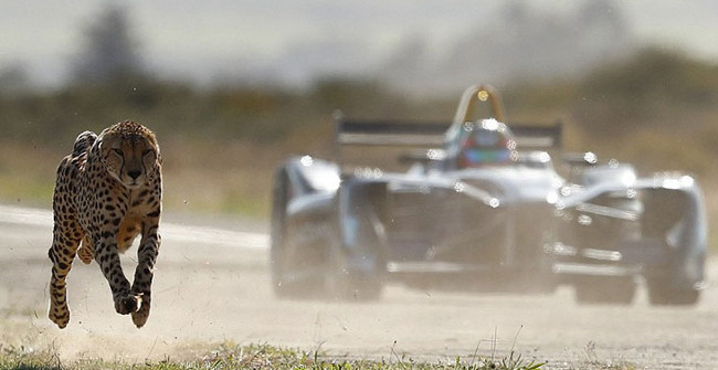 Newspaper Hunt Racing with Formula Racing, Who Belongs to Victory