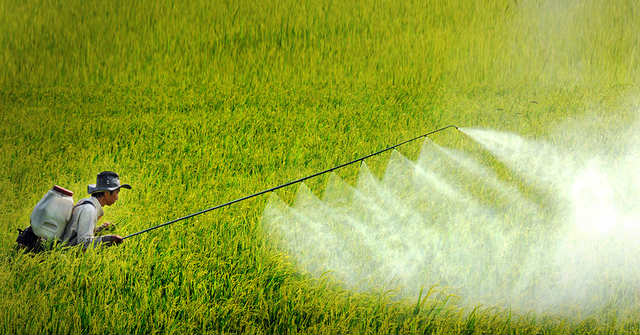 Notes for Farmers When Buying Pesticide Sprayers