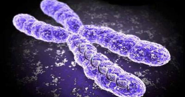 Officially Finding New Strains of Enzymes Leading to Suicidal Behavior