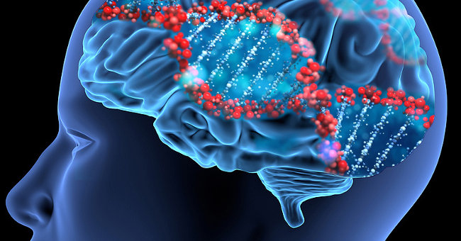 Officially Found Bad Genes and Harmful Variants Related to Brain Aging