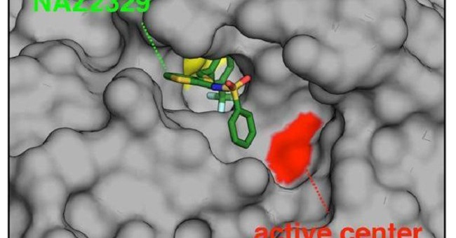 Officially Identified the Target Receptor for the Treatment of Neuroblastoma