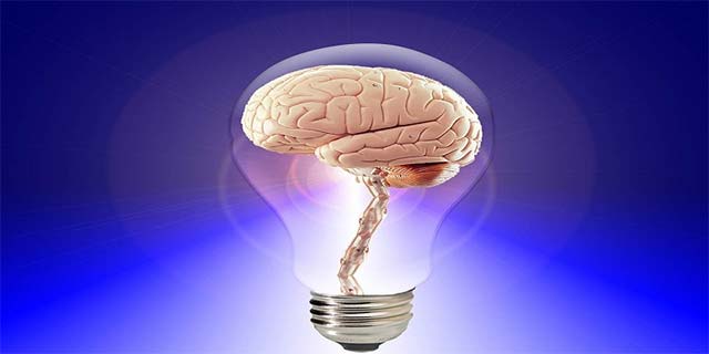 Online Games Help Improve Memory