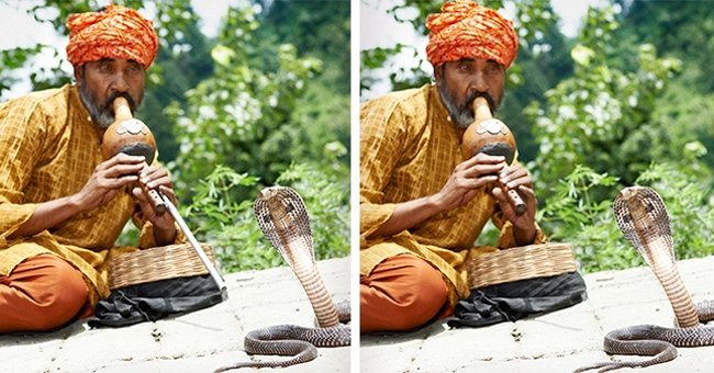 Only Genius Can Find All the Differences in the 9 Pictures Below