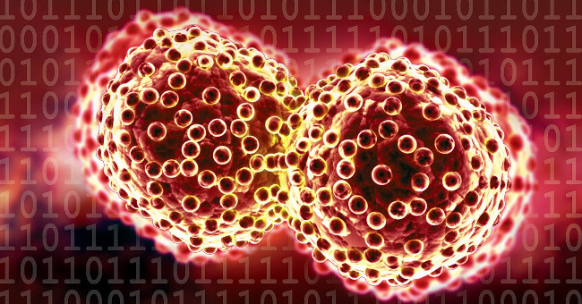Out of Oxygen Supply, Burning of Fat Protein Can Kill Cancer Cells
