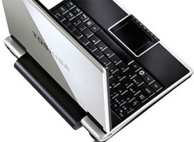PCs Are 'Evolving' Into. .. Netbooks