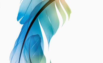 Photoshop: Principles of Using Filters