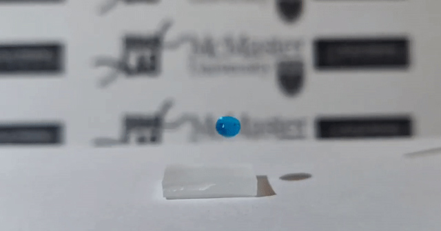 Plastic Surface Self-cleaning, Even Antibiotic-resistant Bacteria