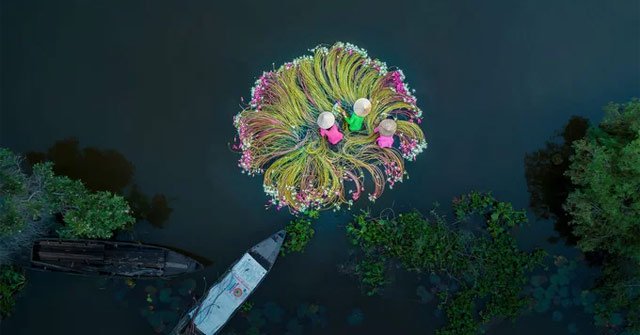 Please Take a Look at the Vietnamese Photos Viewed from Above on