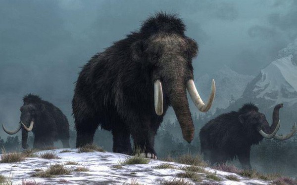 Prehistoric Home Builders Living Through the Ice Age from