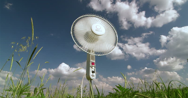 Proper Maintenance and Cleaning of Tree Fans
