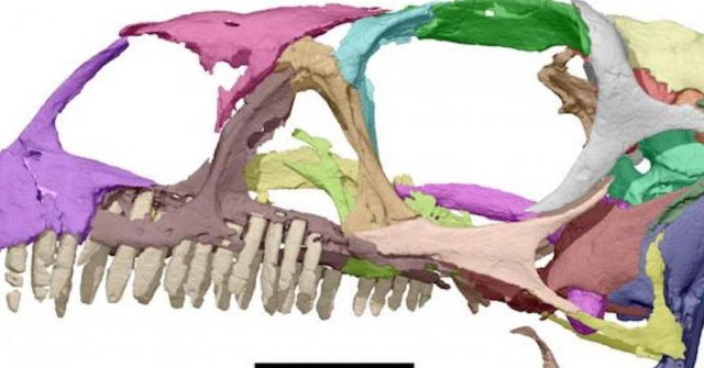 Publish a 3D Dinosaur Skull Print Plan of 200 Million Years Old