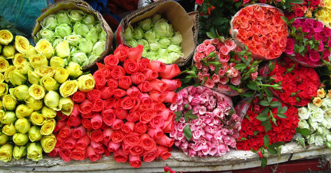 Recipes Keep Fresh Flowers Long During Tet Holiday