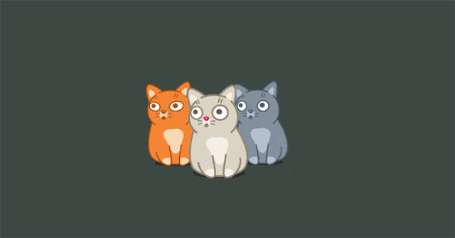 Refresh Chrome's New Tab Interface with a Funny Cat Wallpaper