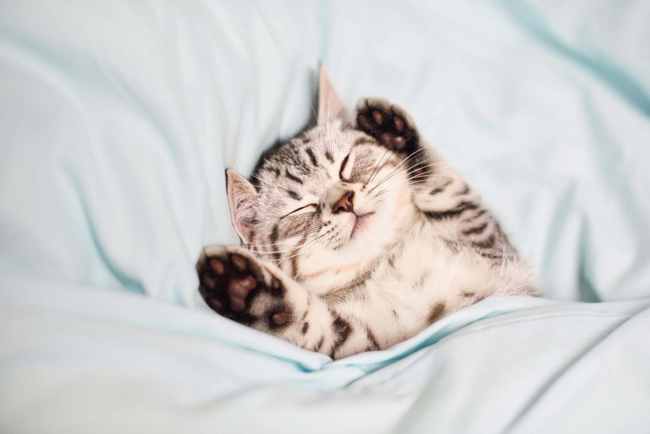 REM and Deep Sleep: Why You Need More of Both