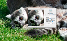 Remove Bad Details from Photos with Adobe Photoshop