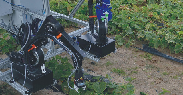 Robots Are Equipped with Two Arms to Help Harvest Cucumbers