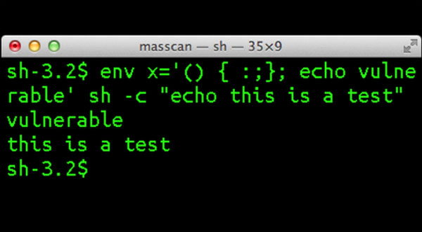 Safeguard Against Shellshock Security Vulnerabilities