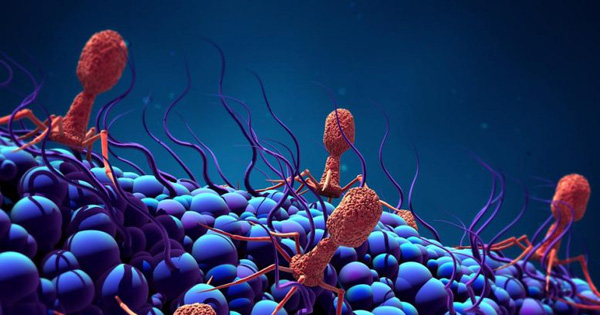 Science Has Discovered Giant Viruses with the Ability to 'Steal'